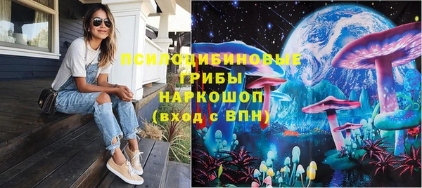 индика Арсеньев