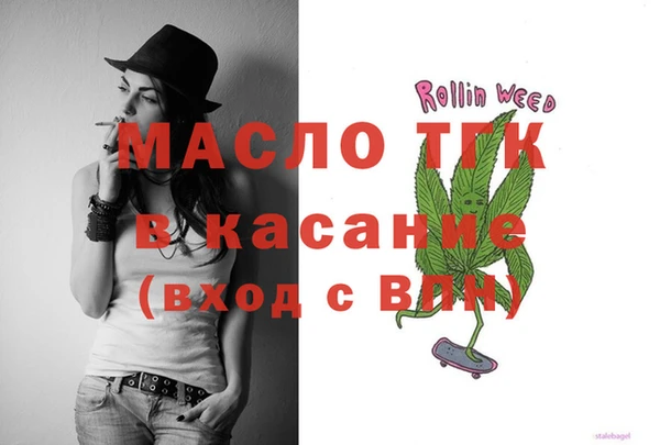 индика Арсеньев