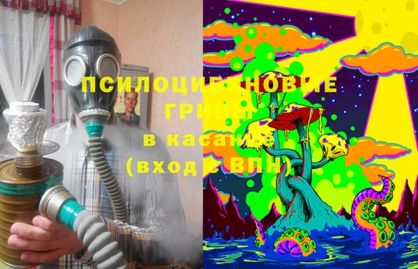 индика Арсеньев