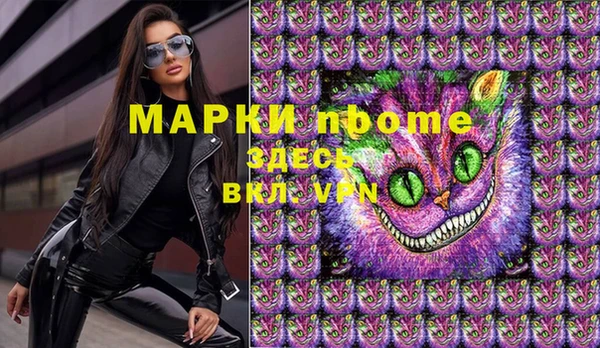 индика Арсеньев