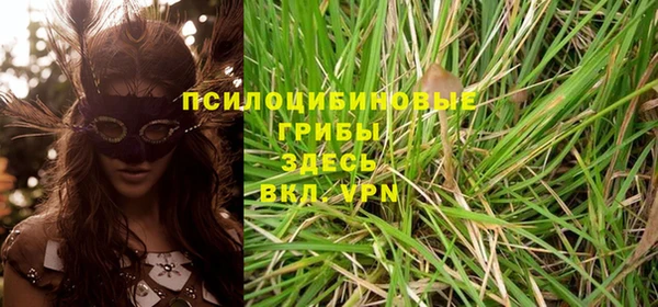 индика Арсеньев
