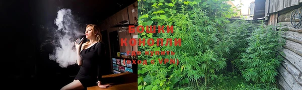 PSILOCYBIN Аркадак