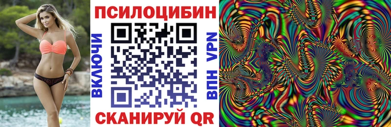 Псилоцибиновые грибы Cubensis  Камешково 